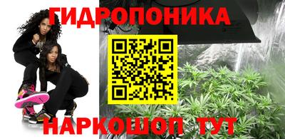 амф Канаш