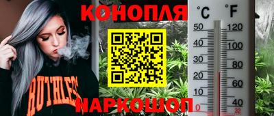 наркотики Камышлов