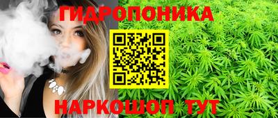 наркотики Камышлов